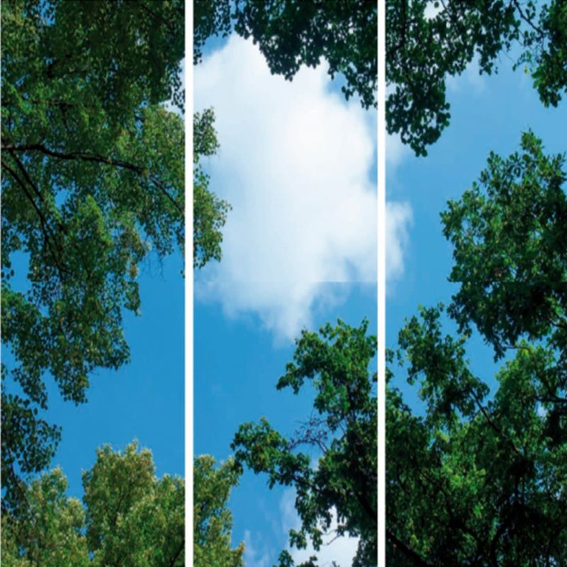 Fotoprint wolk met bos - set van 3 acrylplaten met print, voor 120x60 cm LED panelen Fotoprint wolk met bos - set van 3 acrylplaten met print, voor 120x60 cm LED panelen