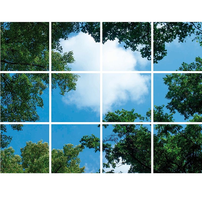 Fotoprint wolk met bos - set van 12 acrylplaten met print, voor 60x60 cm LED panelen