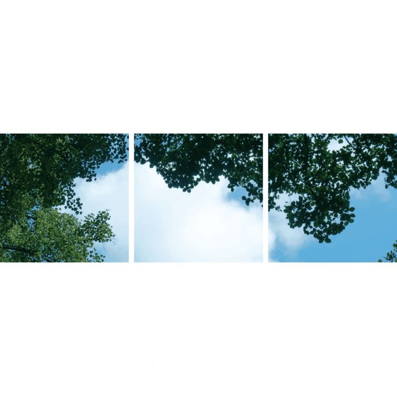 Fotoprint wolk met bos - set van 3 acrylplaten met print, voor 60x60 cm LED panelen Fotoprint wolk met bos - set van 3 acrylplaten met print, voor 60x60 cm LED panelen