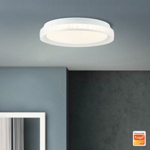 Moderne smart plafondlamp transparant, Rashmi, 24W, warm tot koud wit verstelbare LED