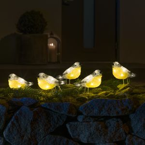 5 LED koolmezen, voor binnen en buiten
