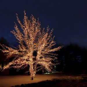 50m zwart koppelbare boomverlichting,10 leds p/meter, IP67 - Warm wit