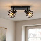 Industriële plafondspot zwart, Lieve