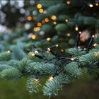 1,8m LED kerstverlichting op batterij, 24 lamps, Binnen en Buiten, met timer