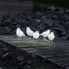 verwijderen-13-02-0047