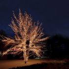 10m zwart koppelbare boomverlichting, 10 leds p/meter, IP67 - Warm wit