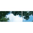 Fotoprint wolk met bos - set van 3 acrylplaten met print, voor 60x60 cm LED panelen