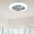 Grijze plafondventilator modern, Damyan, 30W, RGBW LED, met afstandsbediening