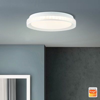 Moderne smart plafondlamp transparant, Rashmi, 24W, warm tot koud wit verstelbare LED