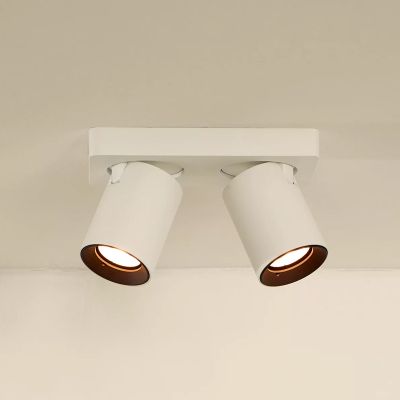 Witte plafondspot Nigel, aluminium