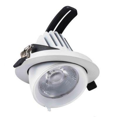 Witte downlight banaanspot, Shanaya, 30W, white switch LED
