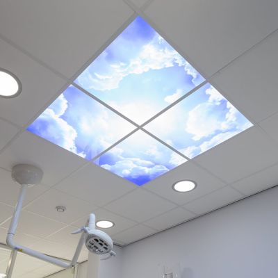 Fotoprint wolk - set van 2 acrylplaten met print, voor 60x60 cm LED panelen