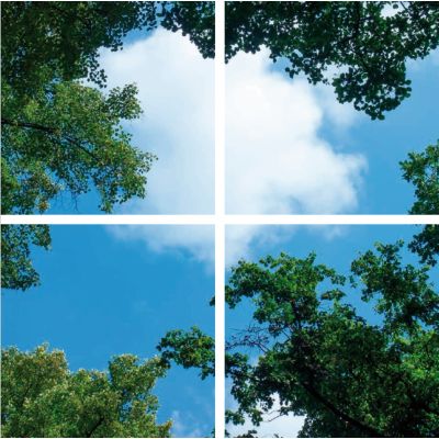 Fotoprint wolk met bos - set van 4 acrylplaten met print, voor 60x60 cm LED panelen