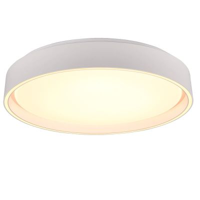 Witte plafonnière kunststof, Deon, 24W, warm tot koud wit verstelbare LED