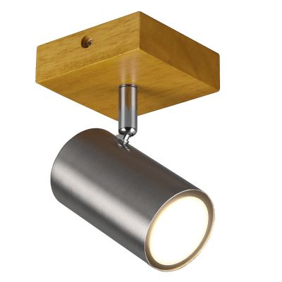 Nikkelen plafondspot modern, Kaso