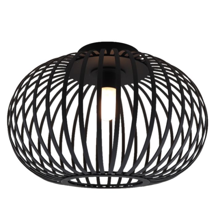 Industriële badkamer plafondlamp zwart, Lieve, IP44