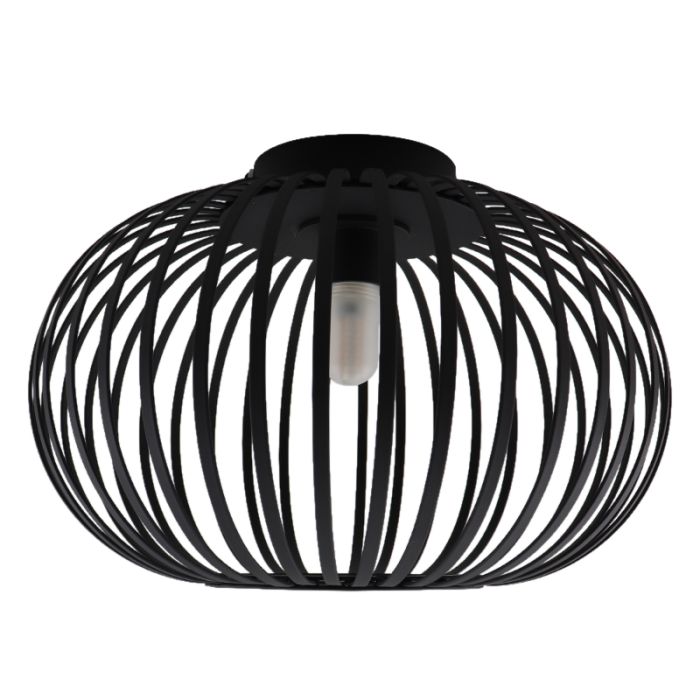 Industriële badkamer plafondlamp zwart, Lieve, IP44