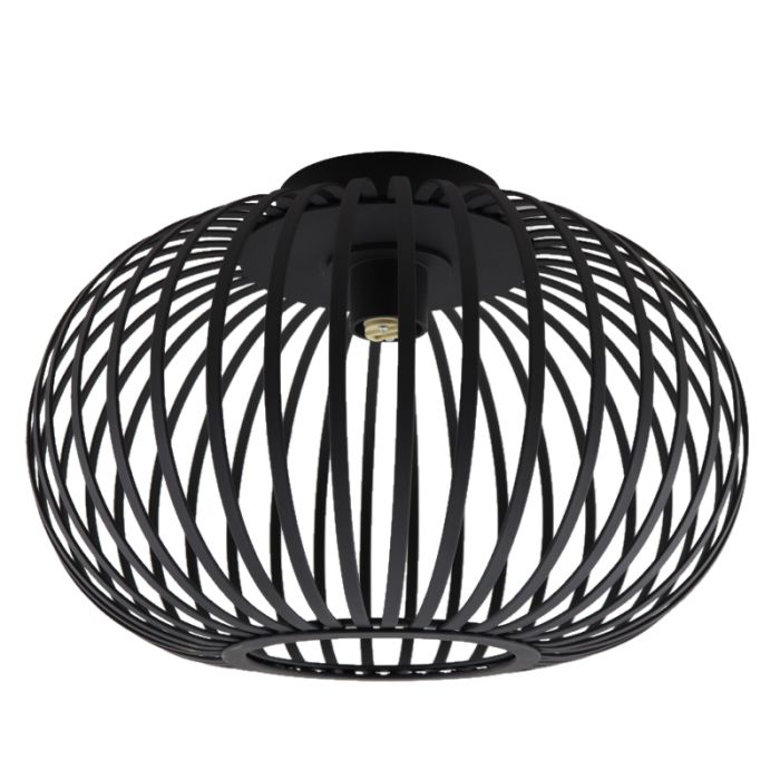 Industriële badkamer plafondlamp zwart, Lieve, IP44
