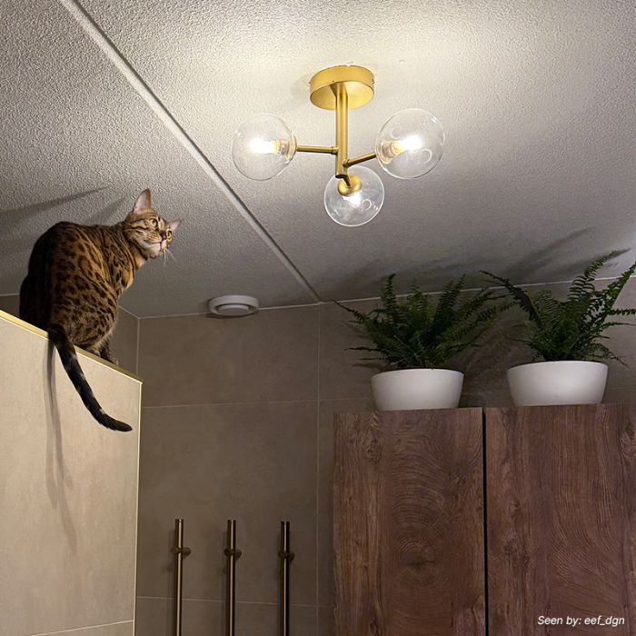 Moderne badkamer plafondlamp goud, Amer, IP44