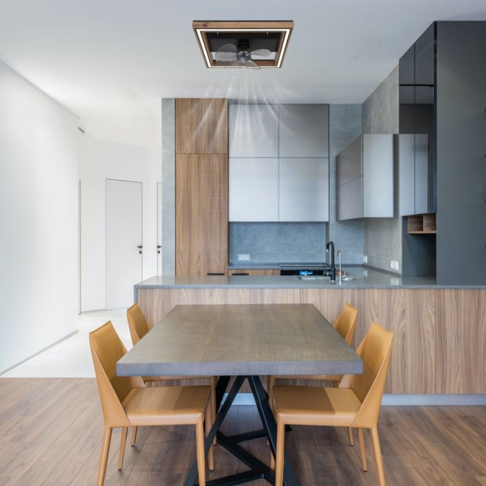 Bruine moderne plafondventilator kunststof, Lamyea, 24W, warm tot koud wit verstelbare LED, met afstandsbediening
