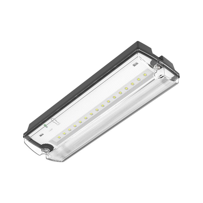 Zwarte noodverlichting incl. pictogrammen, Pedram, 3W, 6500K LED, IP66