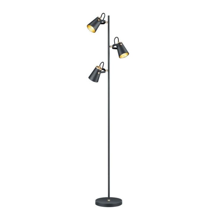 Zwarte vloerlamp modern, Skals, met schakelaar