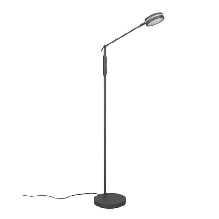 Antraciete staande leeslamp Marjon, metaal, modern, 6w, warm tot koud wit verstelbare LED