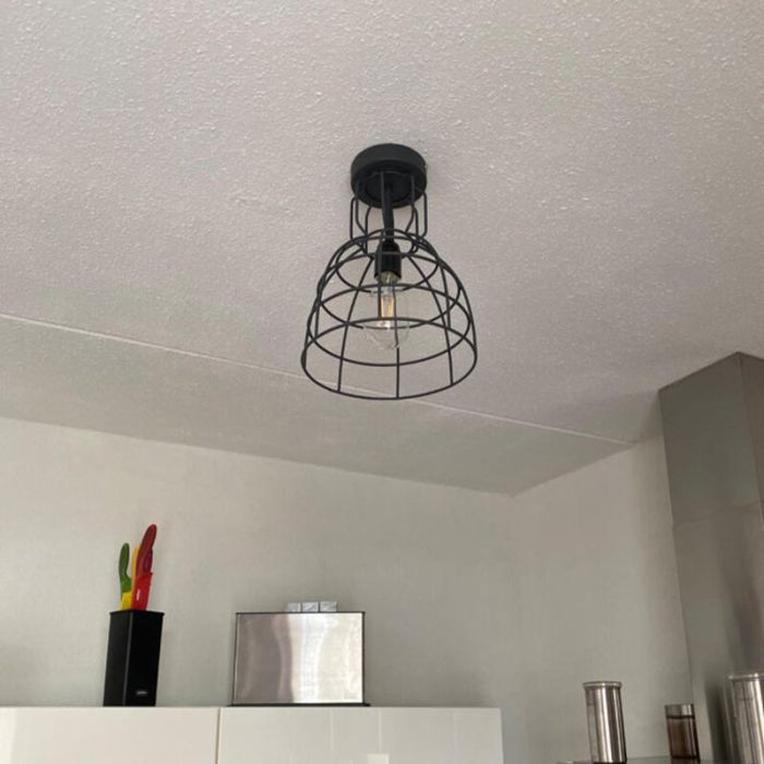 Industriële plafondlamp Dexter, grote versie