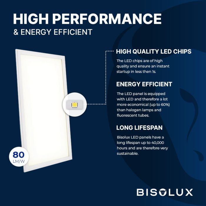 Bisolux LED paneel 30x60 - 24W - 6000K - UGR<19 - side-lit